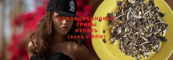 мет Мегион