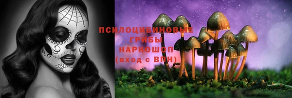 мет Мегион