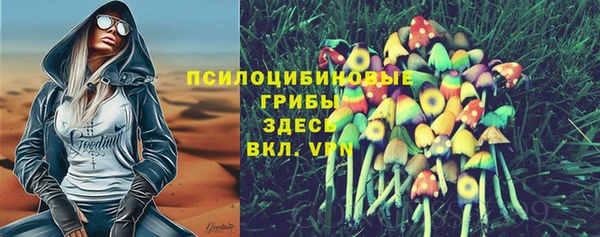 тгк Медногорск