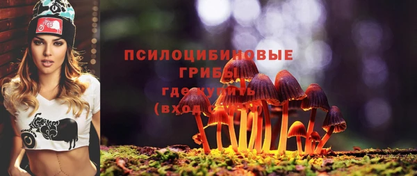 тгк Медногорск