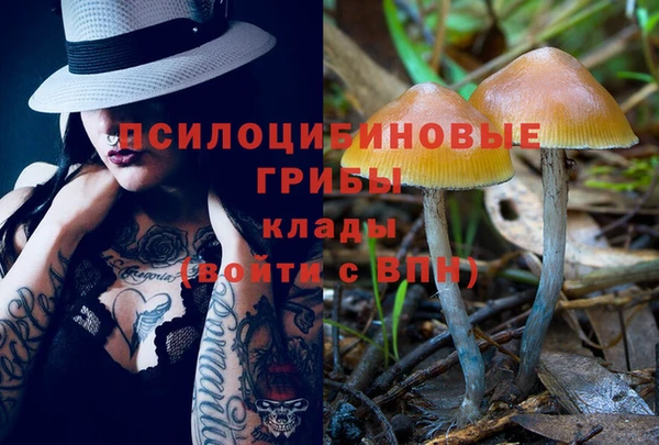 мет Мегион